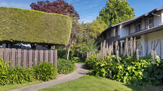 368 Serramonte Terrace, Fremont CA: https://media.crmls.org/mediaz/2ada74a1-2841-4e3f-a432-c050c86531ac.jpg