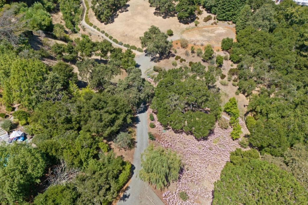 MLS #ML81992662 image #7