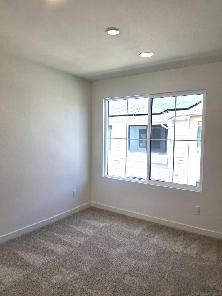 2586 Delphinium - photo 20