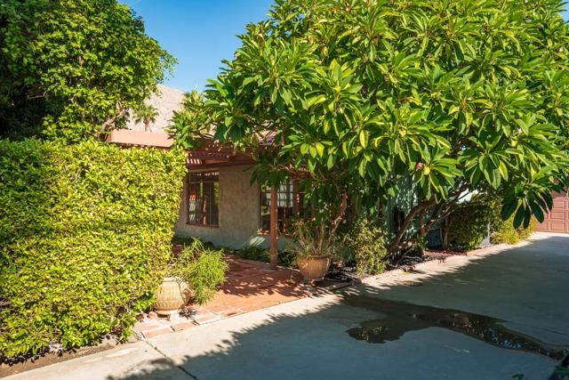 438 E Avenida Hokona, Palm Springs CA: https://media.crmls.org/mediaz/2af6f666-e5c8-4b61-bc4a-9baf6080291c.jpg