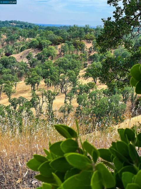 0 Lot 22 Rolling Oaks, Cottonwood CA: https://media.crmls.org/mediaz/2b070a0d-7473-4428-a5bb-64d33367b4fa.jpg