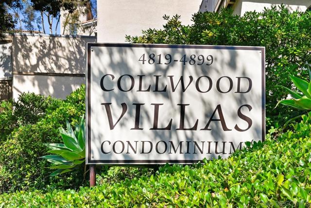 4881 Collwood Blvd, San Diego CA: https://media.crmls.org/mediaz/2b10b4bd-62b9-4ea5-8455-3ca87d84e6d4.jpg