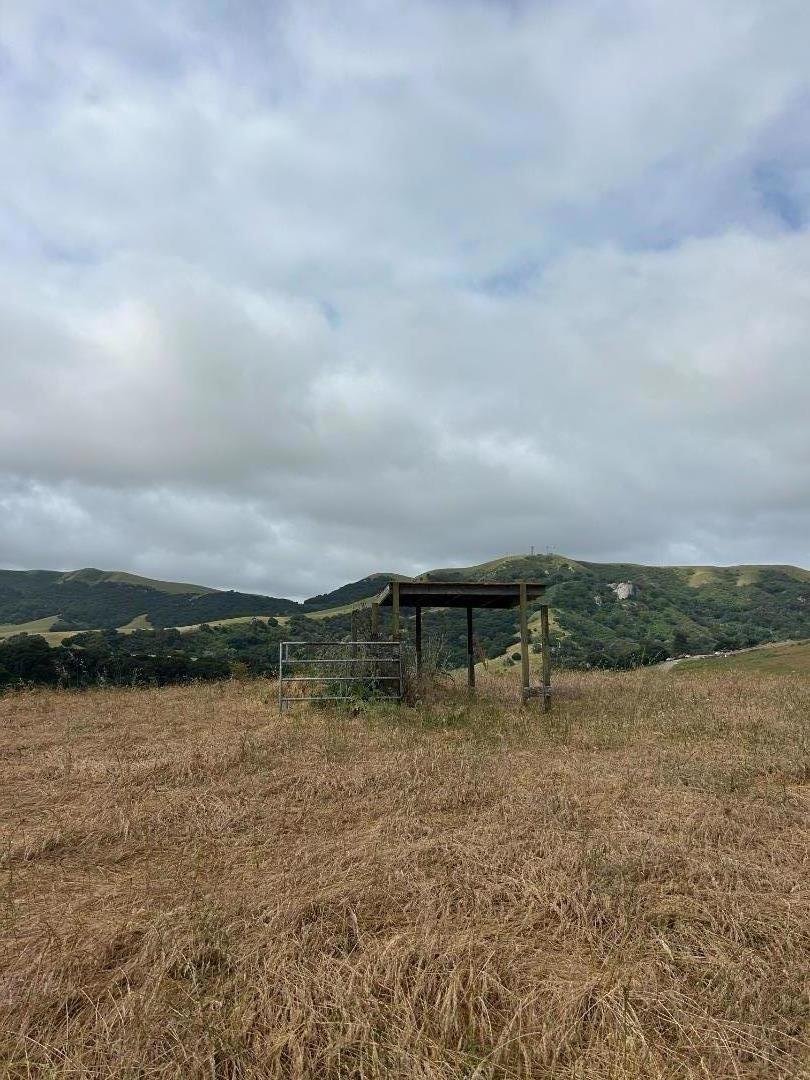 MLS #ML82007272 image #21