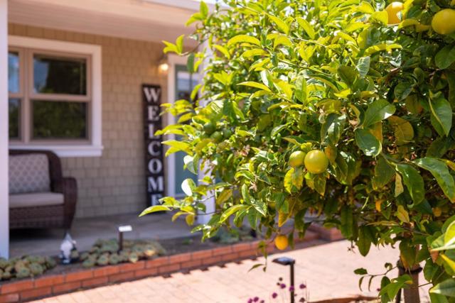 10 Boronda Way, Del Rey Oaks CA: https://media.crmls.org/mediaz/2b1bc9ef-1937-4d69-8d83-ec5ab3332d02.jpg