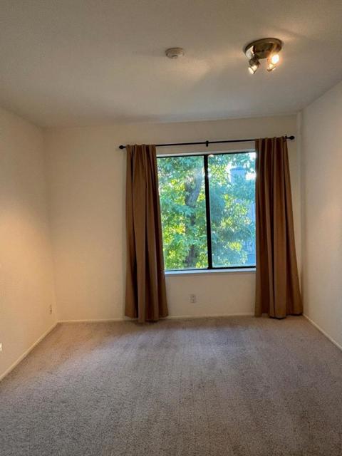 6204 Buena Vista Drive, Newark CA: https://media.crmls.org/mediaz/2b200513-a2ea-4740-b812-2567dcf34ae6.jpg