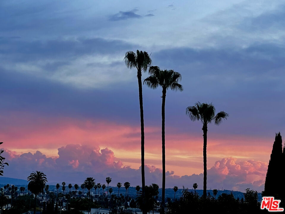 MLS #25527286 image #63