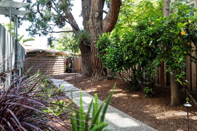 360 Everett Avenue, Palo Alto CA: https://media.crmls.org/mediaz/2b22ae1b-012e-467a-9feb-907757da016b.jpg