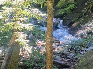 17000 Bear Creek Road, Boulder Creek CA: https://media.crmls.org/mediaz/2b263d6b-1eeb-4db2-8437-3317fb43df14.jpg