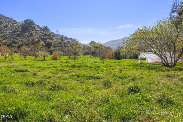 4620 Casitas Pass Road, Ventura CA: https://media.crmls.org/mediaz/2b2c012b-3248-4bd5-9c52-57e02e55fdee.jpg