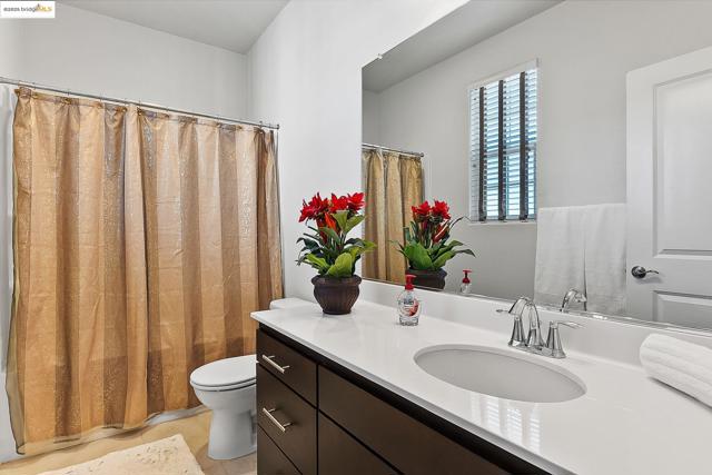 Bathroom with vanity and a shower with curtain
