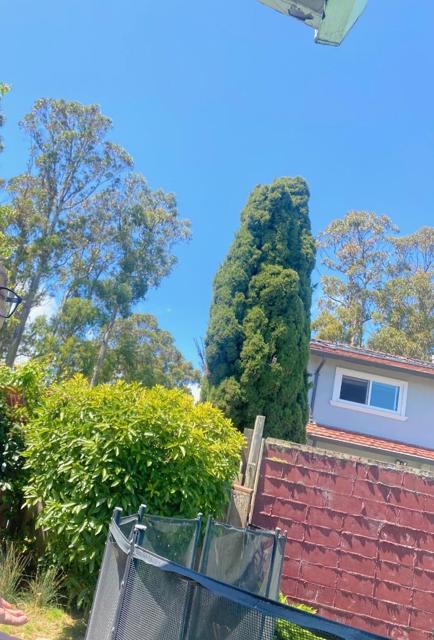 1683 Escalante Way, Burlingame CA: https://media.crmls.org/mediaz/2b335324-f576-43ea-a492-224b5a2f9992.jpg