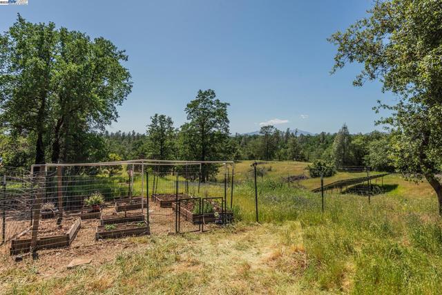 21679 Squaw Grass Trail, Redding CA: https://media.crmls.org/mediaz/2b356cd9-4c06-4a8e-84ab-bafda327c47b.jpg