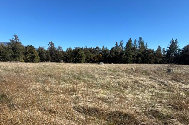 2795 State Highway 49, Mariposa CA: https://media.crmls.org/mediaz/2b3eefe4-5f7e-4ed8-a8e6-4197cc96db36.jpg