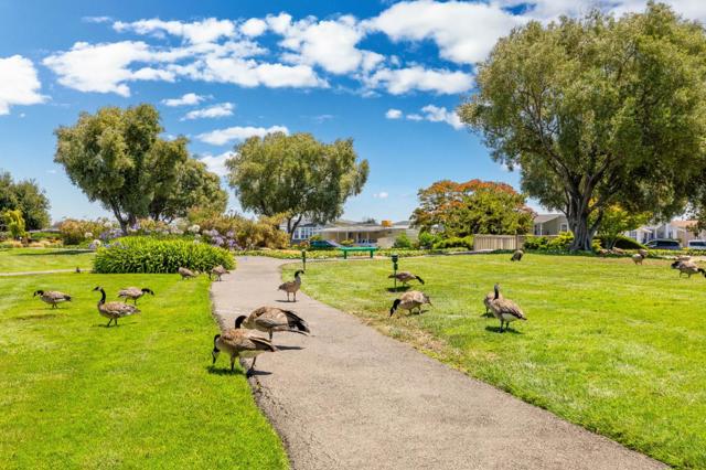 1220 Tasman Drive, Sunnyvale CA: https://media.crmls.org/mediaz/2b3f909d-63d4-45c5-8a38-5c7dc571779b.jpg