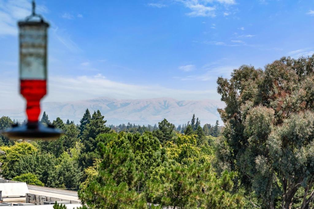 MLS #ML81976213 image #53