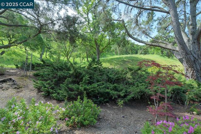 1317 Stanley Dollar Dr, Walnut Creek CA: https://media.crmls.org/mediaz/2b5635a0-1f90-43c0-ac07-f9146a591ed5.jpg