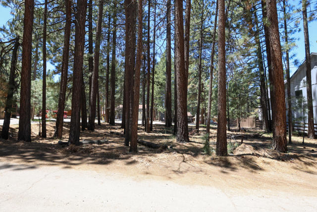 689 Summit Boulevard, Big Bear CA: https://media.crmls.org/mediaz/2b57ad5a-7764-4b11-a87b-7c61f6fefd10.jpg