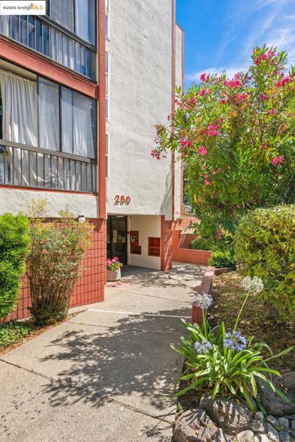 250 Whitmore St, Oakland CA: https://media.crmls.org/mediaz/2b5b62e2-cc5e-479d-a4bb-04ff8db599b8.jpg