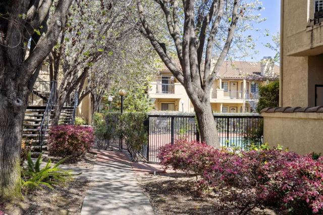 72 Washington Square Drive, Milpitas CA: https://media.crmls.org/mediaz/2b68fd80-8146-46c9-bd0f-cd9f9b65edc8.jpg