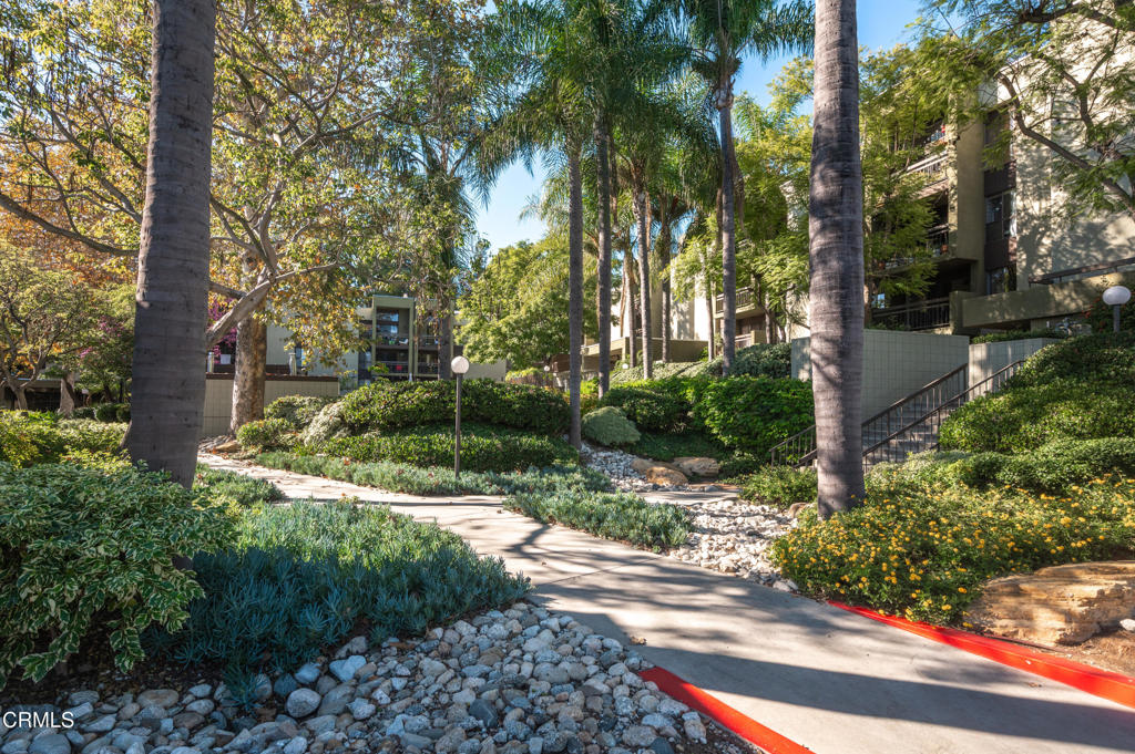 MLS #P1-25193 image #38