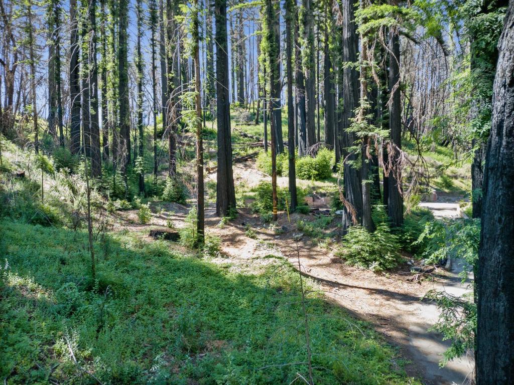 MLS #ML82019121 image #12