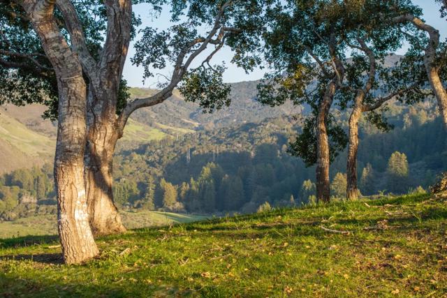 17 Rancho San Carlos Road (Lot 4), Carmel CA: https://media.crmls.org/mediaz/2b80fd49-de09-48ad-8ea0-08d440e90495.jpg
