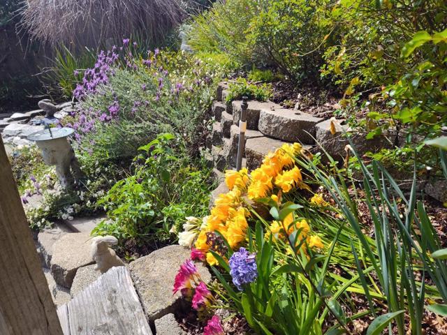 2425 Benson Avenue, Santa Cruz CA: https://media.crmls.org/mediaz/2b907211-9161-43b7-8dc1-4a211d533cb3.jpg