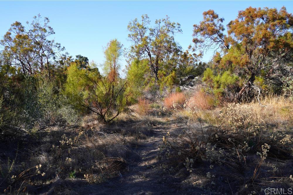 MLS #PTP2507282 image #14