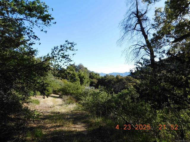 0 San Felipe Rd,  CA: https://media.crmls.org/mediaz/2b94b5a9-2153-4ce1-89dc-f589171df61c.jpg