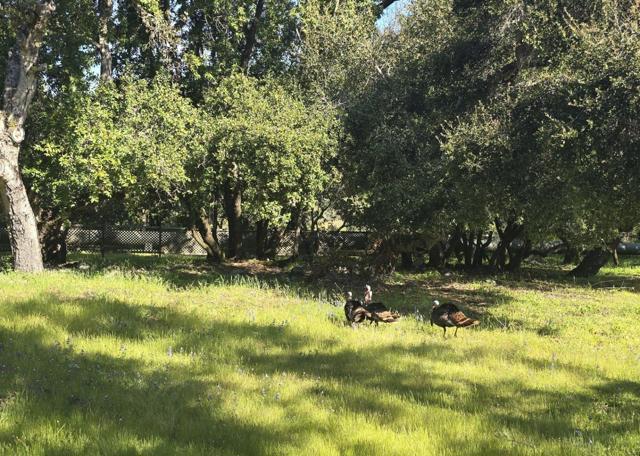 16 SLEEPY HOLLOW DRIVE, Carmel Valley CA: https://media.crmls.org/mediaz/2b963e34-4723-45c2-b9f3-a04006f71d2b.jpg