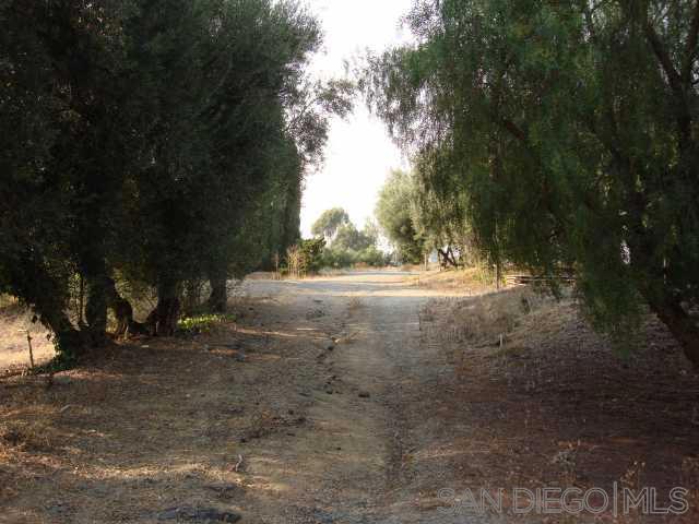 1252 Navel Place - photo 7
