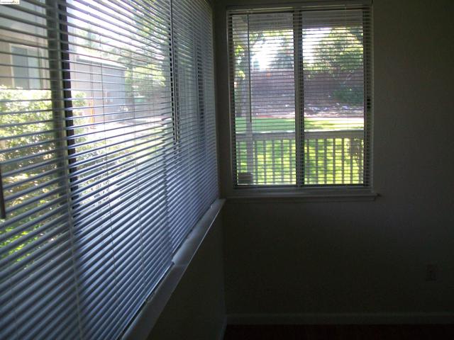 new blinds