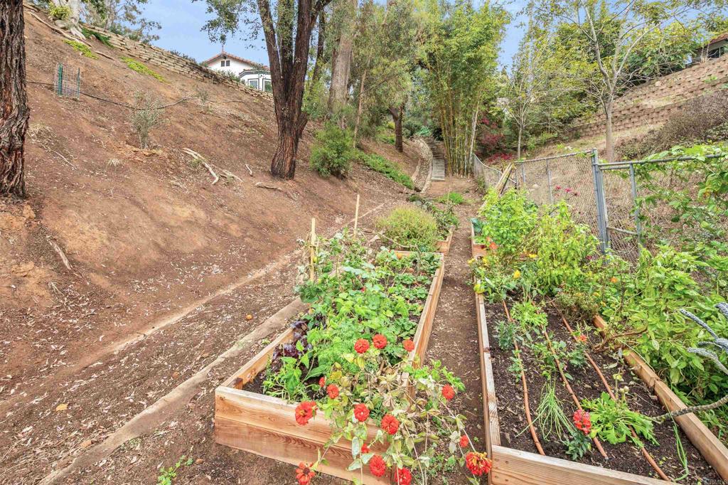 2Baeab95 3B86 4E03 Bf17 62Cffa558168 1427 Avocado Road, Oceanside, Ca 92054 &Lt;Span Style='BackgroundColor:transparent;Padding:0Px;'&Gt; &Lt;Small&Gt; &Lt;I&Gt; &Lt;/I&Gt; &Lt;/Small&Gt;&Lt;/Span&Gt;