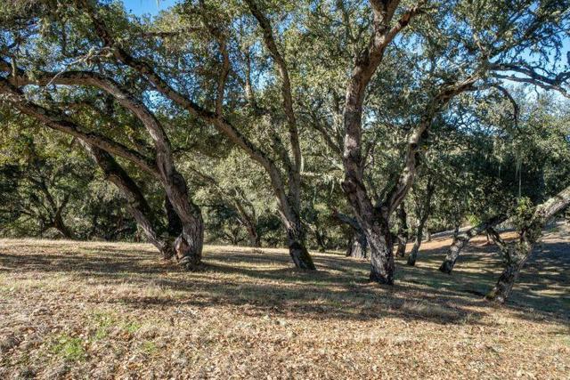 17114 Cachagua Road, Carmel Valley CA: https://media.crmls.org/mediaz/2bb185b4-3d4b-4335-8117-b719e61cad51.jpg