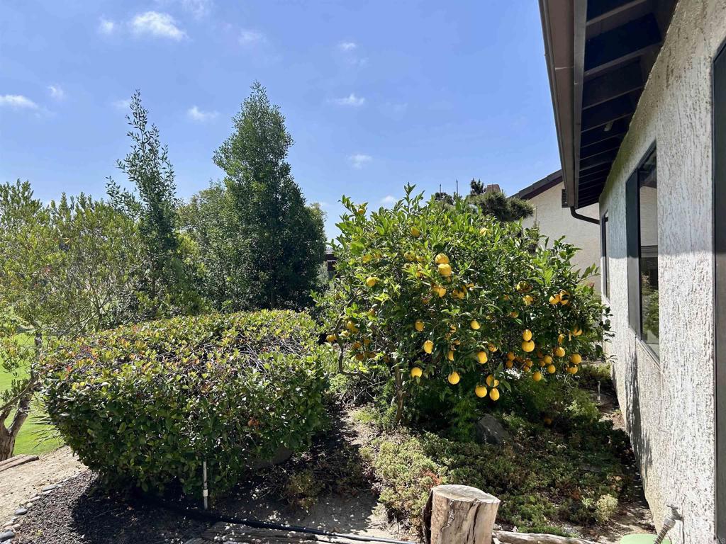 2162 Palmer Drive - photo 14