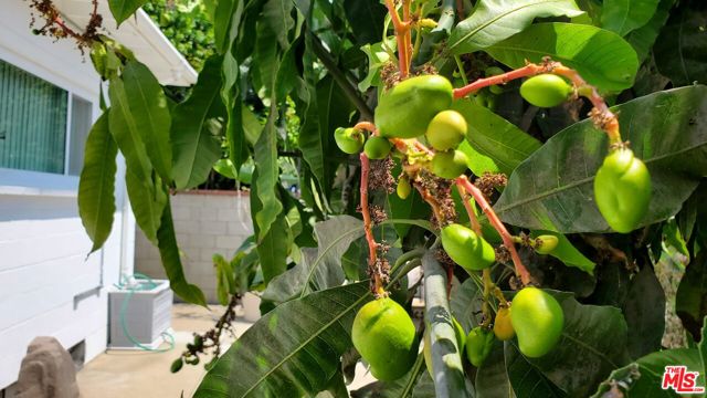 8130 Grimsby Avenue, Los Angeles CA: https://media.crmls.org/mediaz/2bbc5141-cdbd-4691-9bdc-5e6db3682ee6.jpg