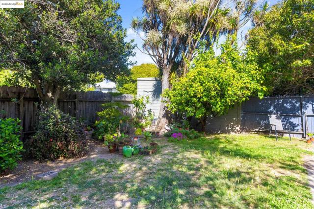 1222 Hollywood Ave, Oakland CA: https://media.crmls.org/mediaz/2bce62ee-774d-4bdc-b386-f404d632dcdd.jpg