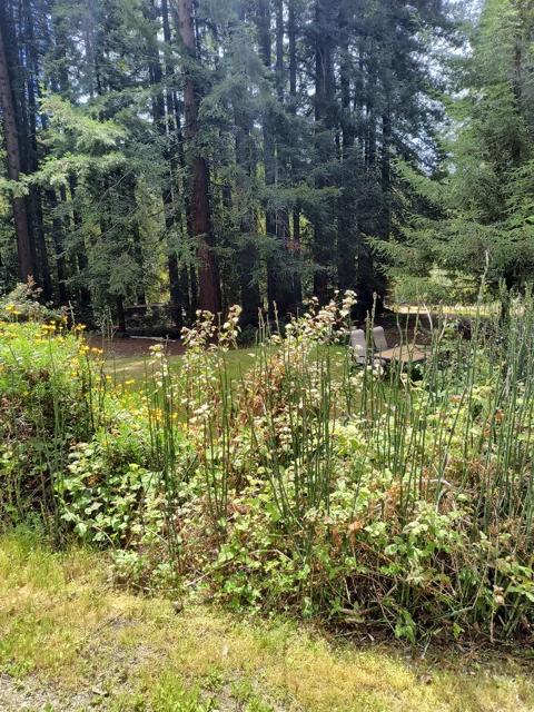 1380 Amaya Ridge Road, Soquel CA: https://media.crmls.org/mediaz/2bd127b7-7d35-4706-903f-096b33bdfb06.jpg