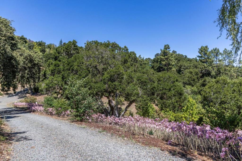 MLS #ML81992662 image #2