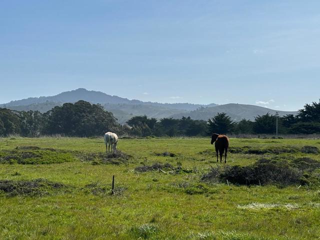 0 Portola Avenue, Half Moon Bay CA: https://media.crmls.org/mediaz/2bd544cf-d6da-4a0b-a862-e2db1e46eeb6.jpg