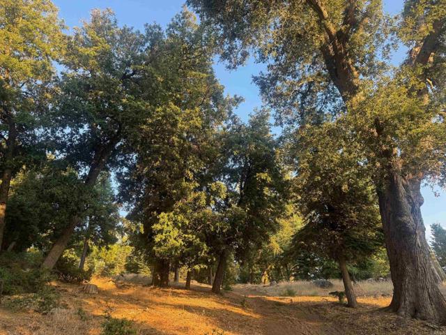 Detail Gallery Image 19 of 47 For 10 Acres Greenfield Way, Palomar Mountain,  CA 92060 - – Beds | – Baths