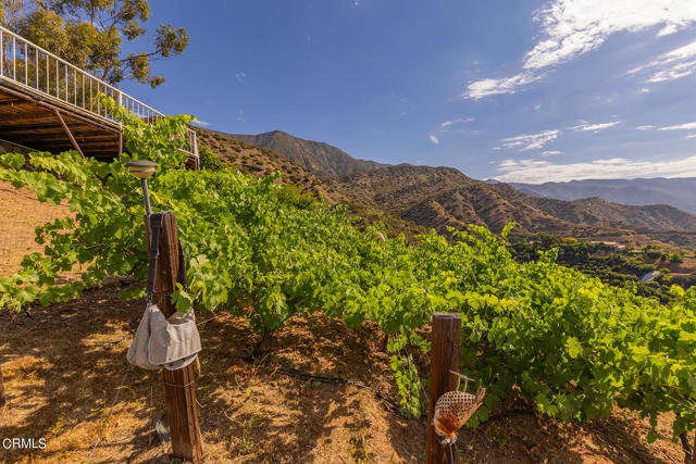 1207 N Signal Street, Ojai CA: https://media.crmls.org/mediaz/2be4ba56-52e5-43cc-bdf9-de0ed50b1126.jpg