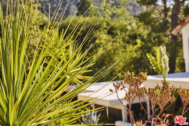 2266 Cold Canyon Road, Calabasas CA: https://media.crmls.org/mediaz/2bef12e3-dcbd-4a08-b960-2e9b03d8c72b.jpg