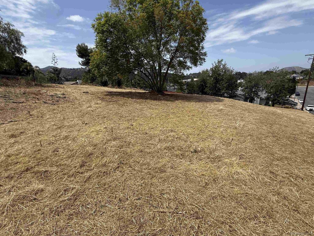 1565 Montiel Rd - photo 16