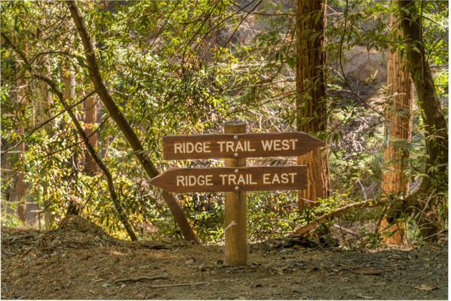 25373 Spanish Ranch Road, Los Gatos CA: https://media.crmls.org/mediaz/2c23d43c-dc40-4d19-885b-628cdd1a69e5.jpg