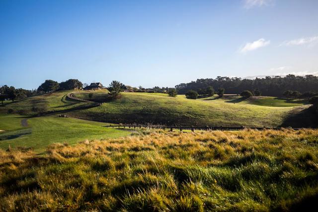 23 Tehama (Homesite 40), Carmel CA: https://media.crmls.org/mediaz/2c2aed71-69a3-485f-bdf8-240ec7c858f3.jpg