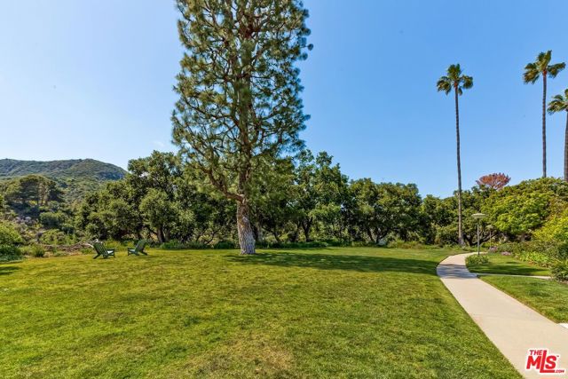 1447 Palisades Drive photo 4