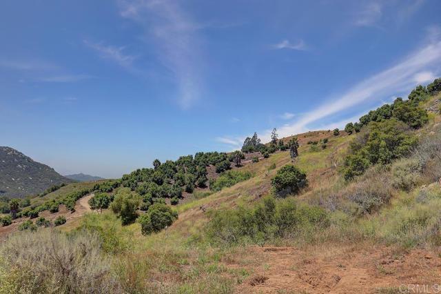 0 Camino Estribo, Temecula CA: https://media.crmls.org/mediaz/2c3dc680-6b4e-4220-9fe9-d56c8febe810.jpg