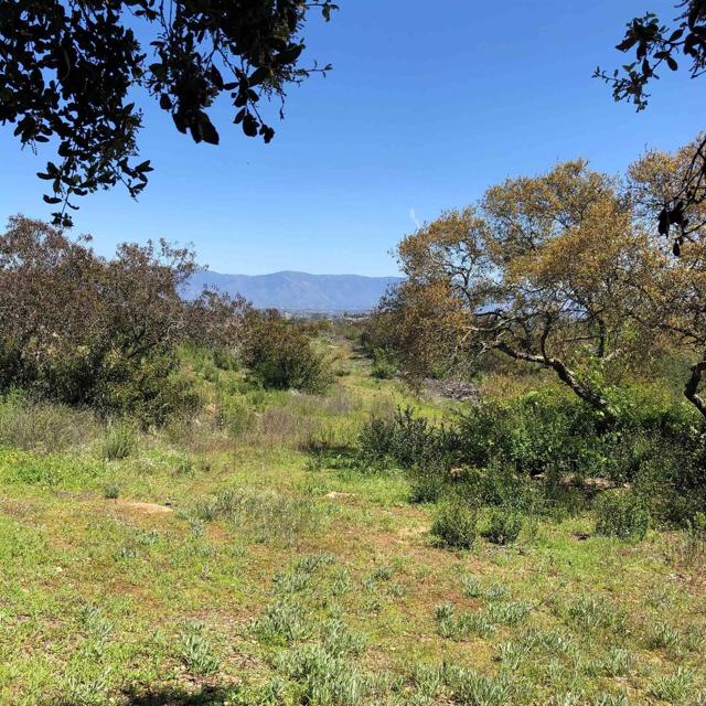 0 High Mountain Ln, Escondido CA: https://media.crmls.org/mediaz/2c4906da-9b61-48a2-9883-bfb6d3fe9e0a.jpg