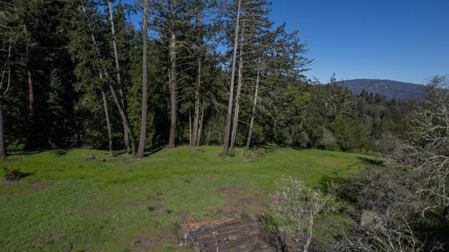 22065 Old Santa Cruz Highway, Los Gatos CA: https://media.crmls.org/mediaz/2c4e2141-d084-4ddc-bea5-1aae0f3b2556.jpg